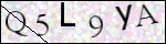 Human Confirmation Code (Captcha)