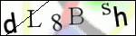 Human Confirmation Code (Captcha)