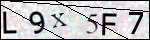 Human Confirmation Code (Captcha)