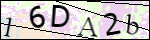 Human Confirmation Code (Captcha)
