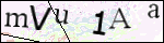Human Confirmation Code (Captcha)
