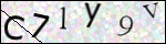 Human Confirmation Code (Captcha)