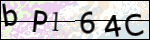 Human Confirmation Code (Captcha)