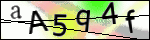 Human Confirmation Code (Captcha)