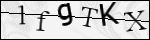 Human Confirmation Code (Captcha)