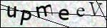 Human Confirmation Code (Captcha)