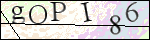 Human Confirmation Code (Captcha)