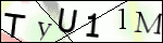 Human Confirmation Code (Captcha)