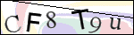 Human Confirmation Code (Captcha)