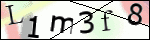 Human Confirmation Code (Captcha)