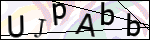 Human Confirmation Code (Captcha)