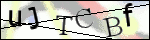 Human Confirmation Code (Captcha)