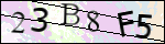 Human Confirmation Code (Captcha)