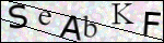 Human Confirmation Code (Captcha)
