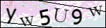 Human Confirmation Code (Captcha)