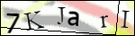 Human Confirmation Code (Captcha)