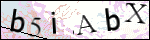 Human Confirmation Code (Captcha)