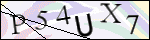 Human Confirmation Code (Captcha)