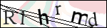 Human Confirmation Code (Captcha)