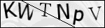 Human Confirmation Code (Captcha)