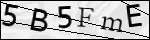 Human Confirmation Code (Captcha)