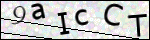 Human Confirmation Code (Captcha)