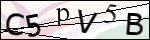 Human Confirmation Code (Captcha)
