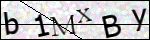 Human Confirmation Code (Captcha)