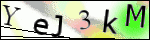 Human Confirmation Code (Captcha)