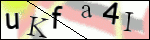 Human Confirmation Code (Captcha)