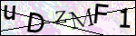Human Confirmation Code (Captcha)