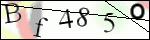 Human Confirmation Code (Captcha)