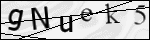Human Confirmation Code (Captcha)
