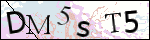 Human Confirmation Code (Captcha)