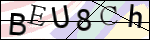Human Confirmation Code (Captcha)
