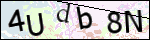 Human Confirmation Code (Captcha)