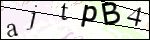 Human Confirmation Code (Captcha)