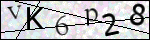 Human Confirmation Code (Captcha)
