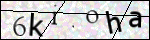 Human Confirmation Code (Captcha)