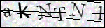 Human Confirmation Code (Captcha)