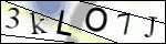 Human Confirmation Code (Captcha)