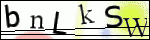 Human Confirmation Code (Captcha)