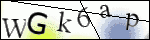 Human Confirmation Code (Captcha)
