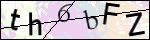 Human Confirmation Code (Captcha)