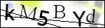 Human Confirmation Code (Captcha)