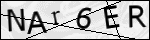 Human Confirmation Code (Captcha)