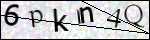 Human Confirmation Code (Captcha)