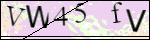 Human Confirmation Code (Captcha)