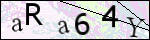Human Confirmation Code (Captcha)