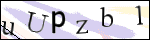 Human Confirmation Code (Captcha)